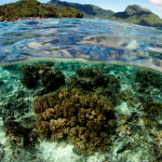 Trump Administration Moves to Open American Samoa’s Waters to Deep-Sea Mining