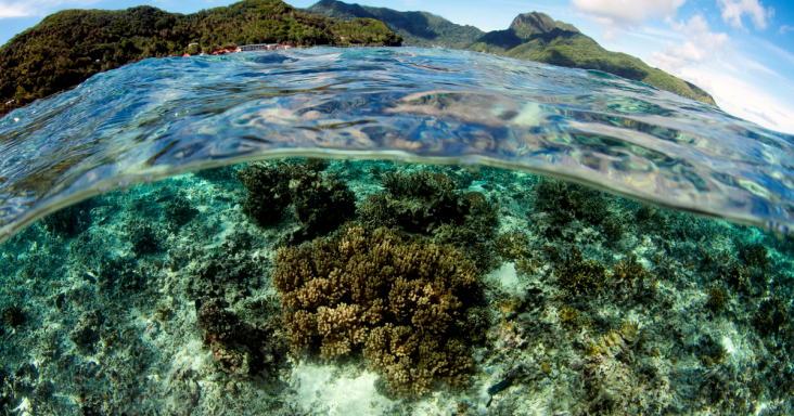 Trump Administration Moves to Open American Samoa’s Waters to Deep-Sea Mining