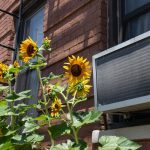 How your AC will and won’t protect you from NYC’s gnarly smoke-filled air