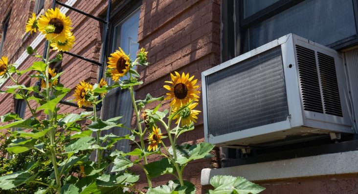 How your AC will and won’t protect you from NYC’s gnarly smoke-filled air How your AC will and won’t protect you from NYC’s gnarly smoke-filled air