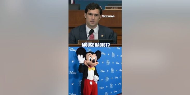 'Is Mickey Mouse racist?': Smithsonian director challenged on woke materials – Fox News