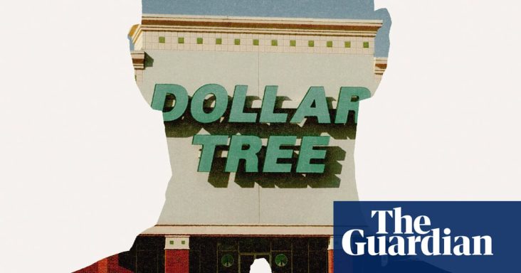 The disturbing rise of ‘gooner’ assaults at Dollar Tree stores: ‘They find it funny to degrade women’ | US crime
