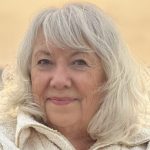 Local author to host national women’s history webinar – Star News Group