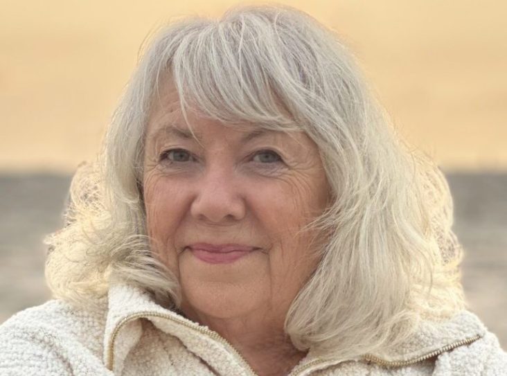 Local author to host national women’s history webinar – Star News Group