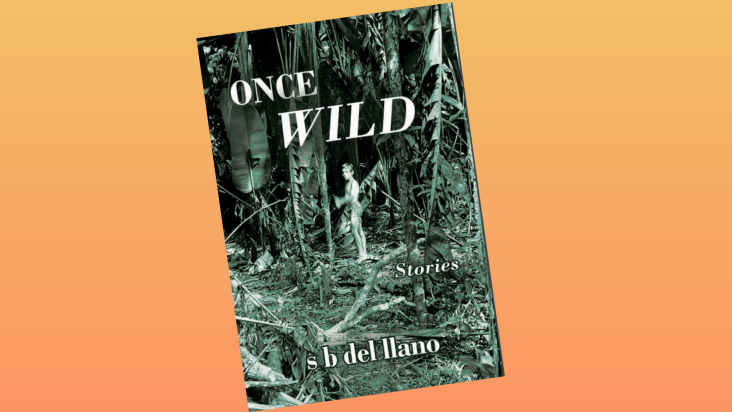 Queer Reads: s b del llano Debuts Latinx LGBTQ+ Collection ‘Once Wild’