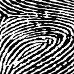 How Long Do Fingerprints Last After You Die? — OK Whatever