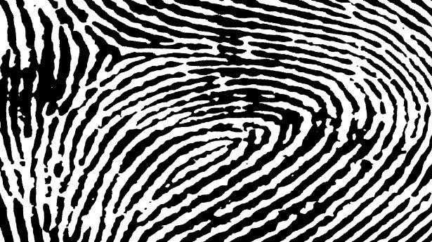 How Long Do Fingerprints Last After You Die? — OK Whatever