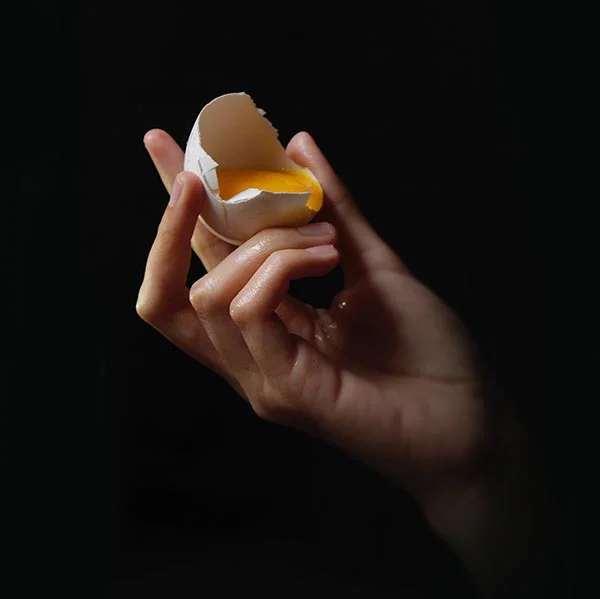 Can You Hatch Eggs From The Grocery Store? — OK Whatever
