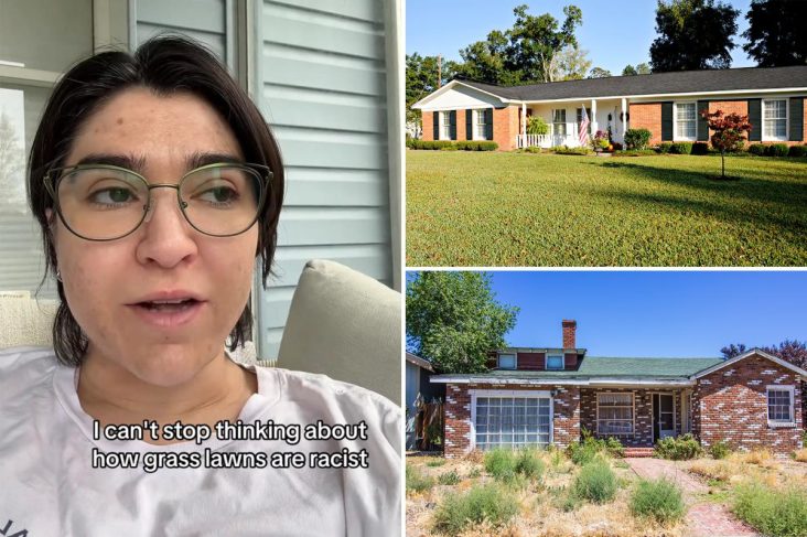Liberal claims having nice green lawn is ‘racist’ in bizarre TikTok rant