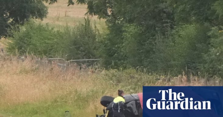 ‘They’re thinking about the likes’: deadly TikTok motorway trend horrifies Ireland | Social media