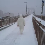 Meet Brooklyn’s Very Own Yeti — OK Whatever