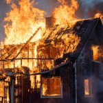 Wife never wanted a pet goose. Four months later, he woke up at 3 a.m. after their barn caught fire