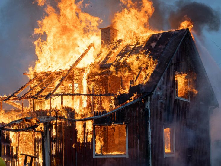 Wife never wanted a pet goose. Four months later, he woke up at 3 a.m. after their barn caught fire