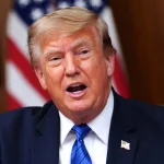 Trump Baselessly Claims He Is Viral 40-Pound Tabby Cat Named Daddy Cinnamon