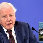 David Attenborough Admits To Exaggerating Wonder Of Seals David Attenborough Admits To Exaggerating Wonder Of Seals