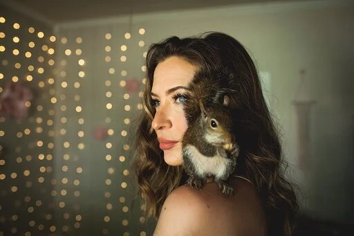 The Heartbreaking Saga of Willa the One-Eyed Squirrel — OK Whatever