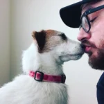 When Your BFF is a Taxidermy Dog — OK Whatever
