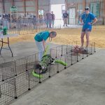 Funny bunny games hop into 5th year at fair –