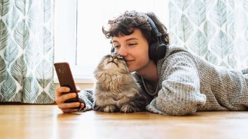 10 Famous TikTok Cats: Iconic Cat Influencers in 2026