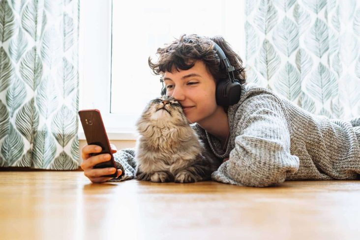 10 Famous TikTok Cats: Iconic Cat Influencers in 2026